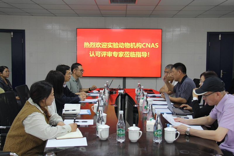 电子游戏app下载安装