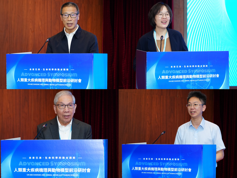 电子游戏app下载安装