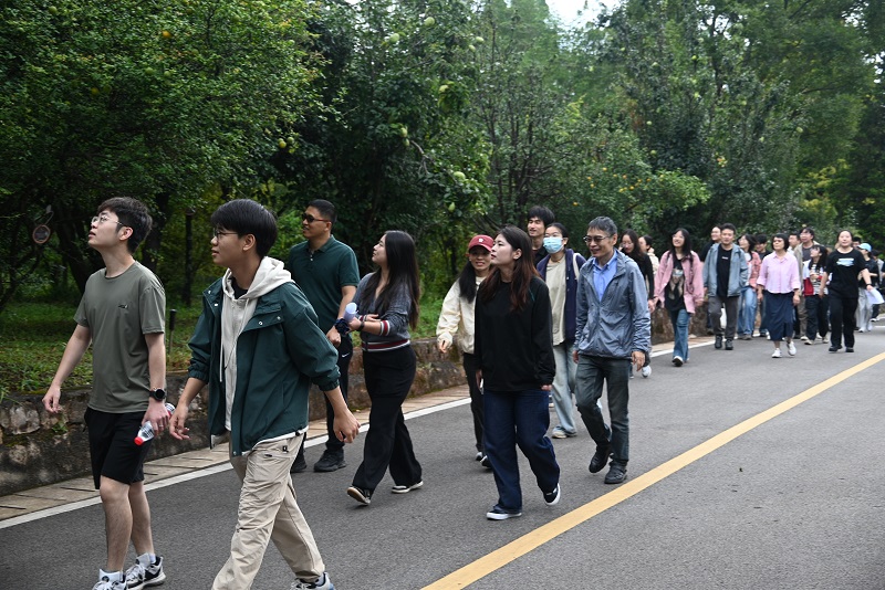 电子游戏app下载安装