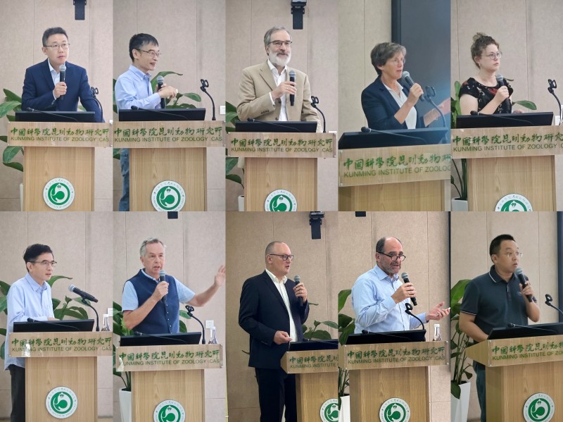 电子游戏app下载安装