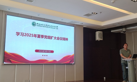 电子游戏app下载安装