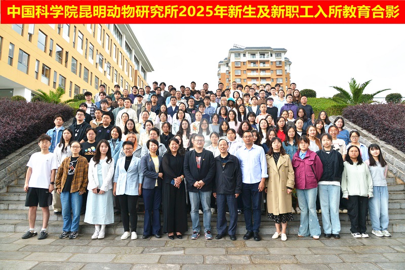 电子游戏app下载安装