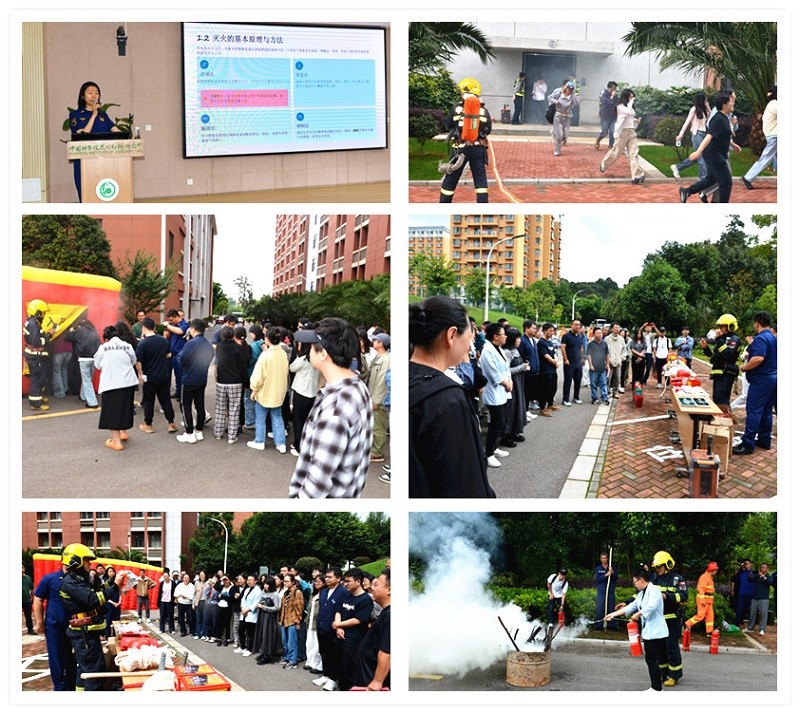 电子游戏app下载安装