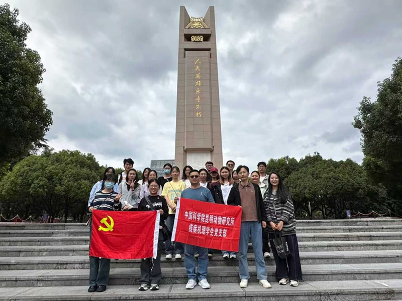 电子游戏app下载安装