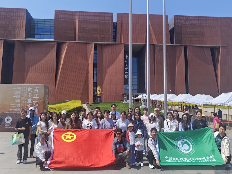 电子游戏app下载安装