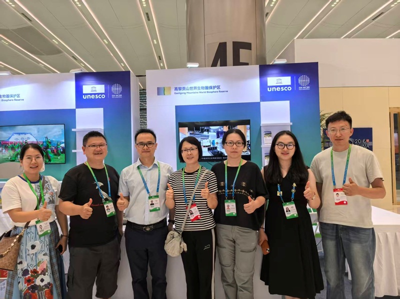 电子游戏app下载安装