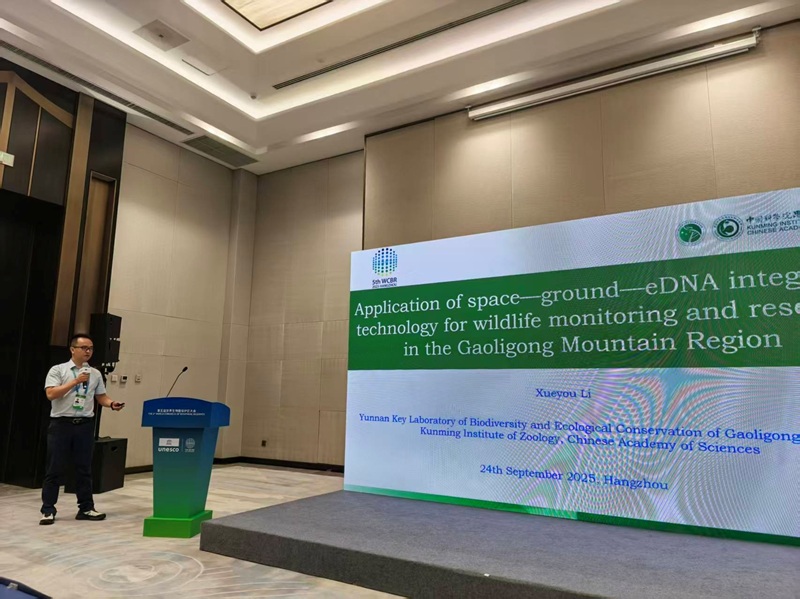 电子游戏app下载安装