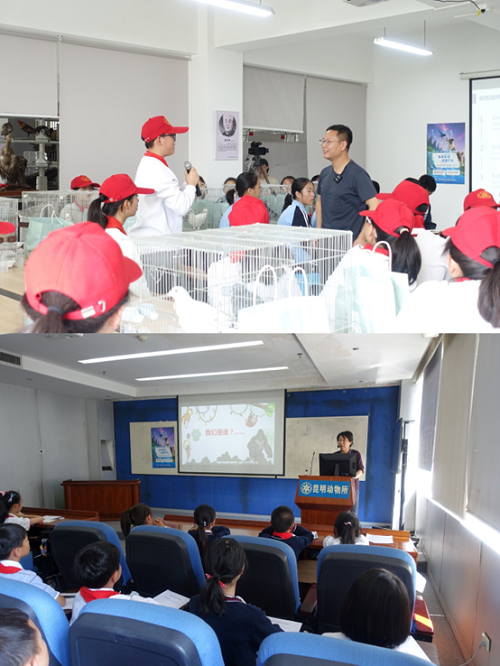 电子游戏app下载安装