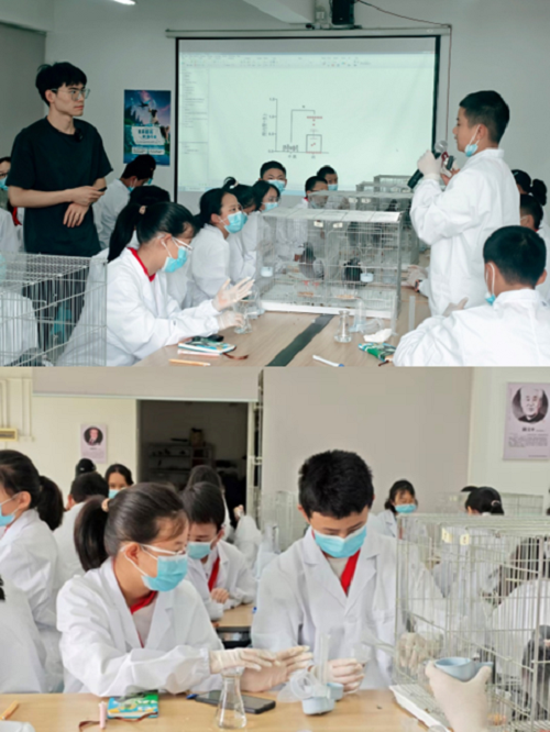 电子游戏app下载安装