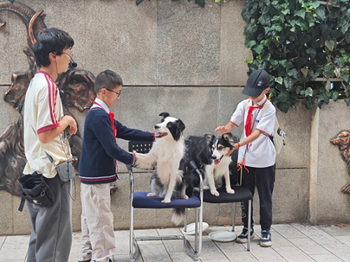 电子游戏app下载安装