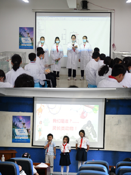 电子游戏app下载安装