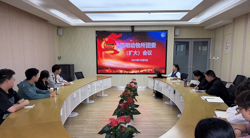 电子游戏app下载安装