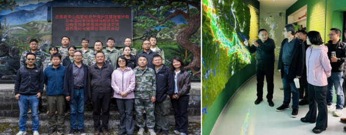 电子游戏app下载安装