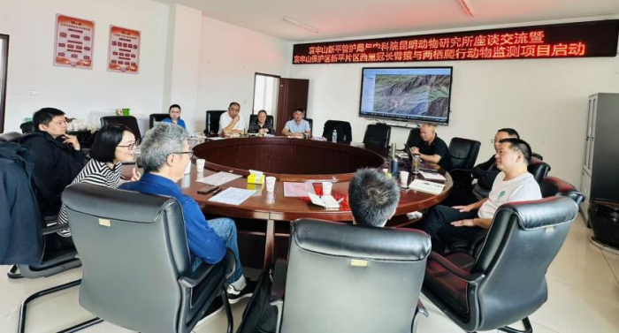 电子游戏app下载安装