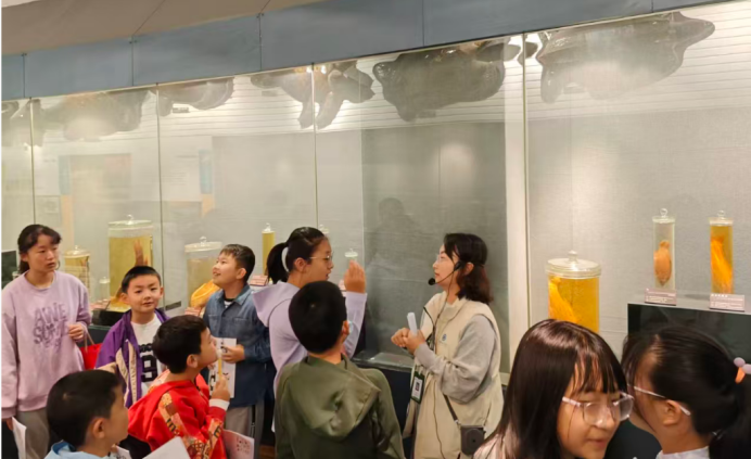 电子游戏app下载安装