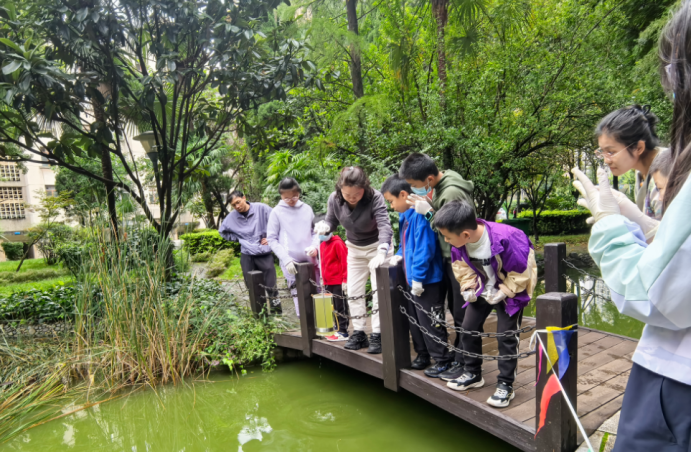 电子游戏app下载安装