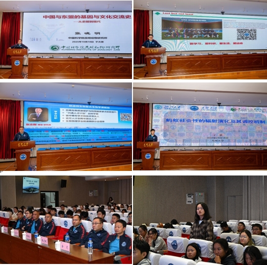 电子游戏app下载安装