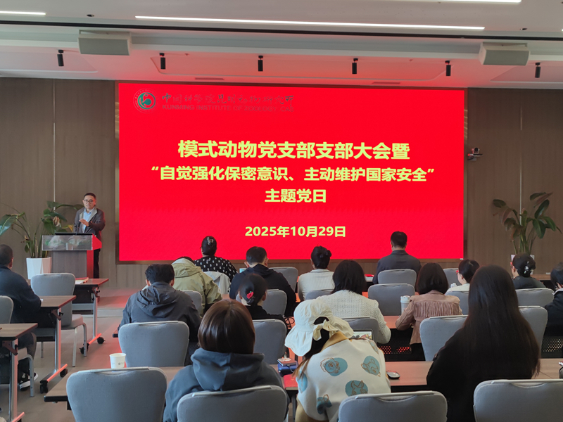 电子游戏app下载安装