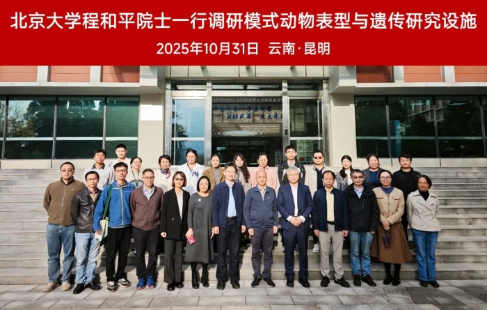 电子游戏app下载安装