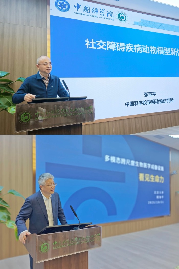 电子游戏app下载安装