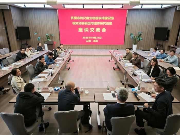 电子游戏app下载安装