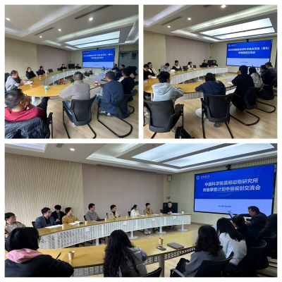 电子游戏app下载安装