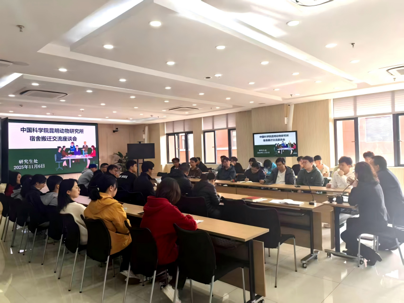 电子游戏app下载安装