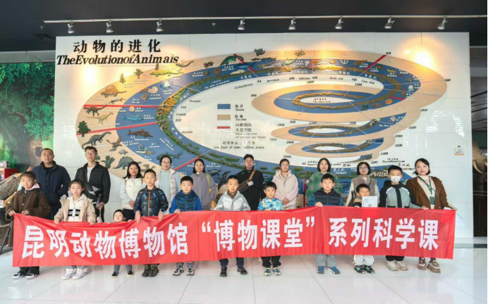 电子游戏app下载安装