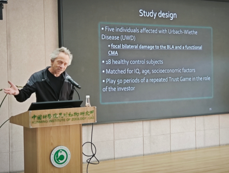 电子游戏app下载安装