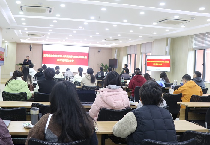 电子游戏app下载安装