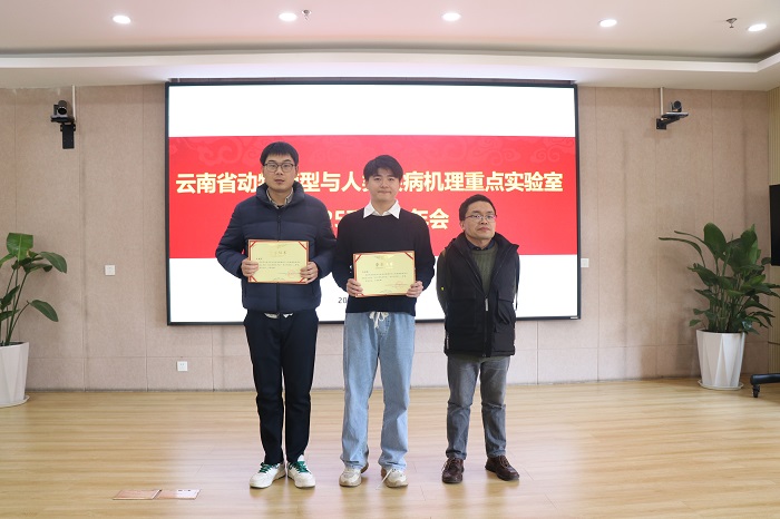 电子游戏app下载安装