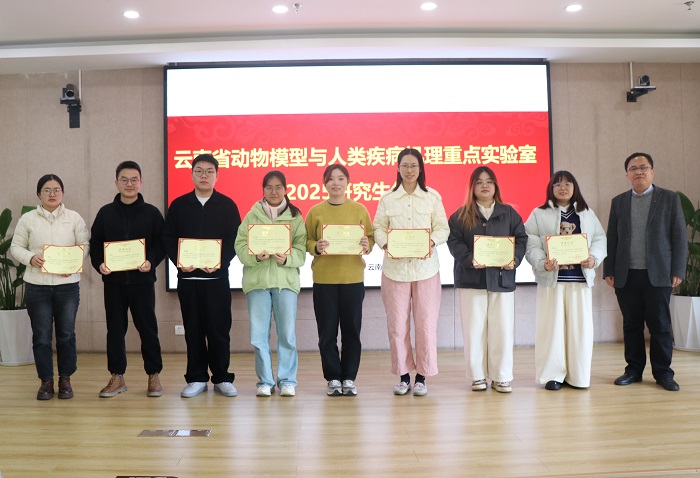 电子游戏app下载安装