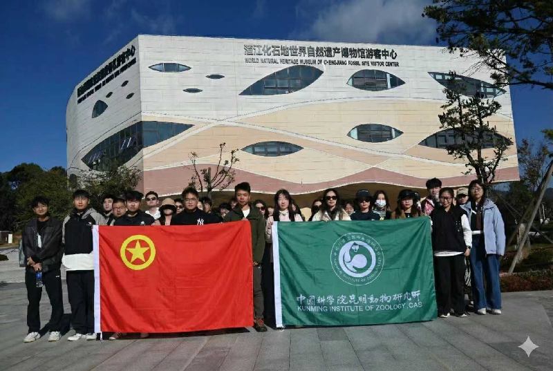 电子游戏app下载安装