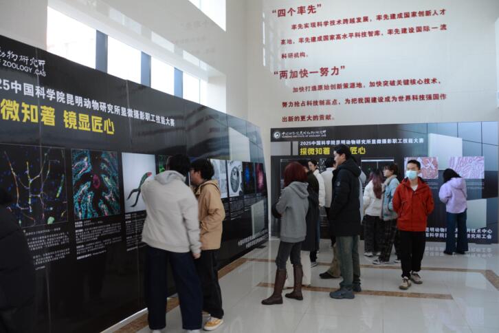 电子游戏app下载安装