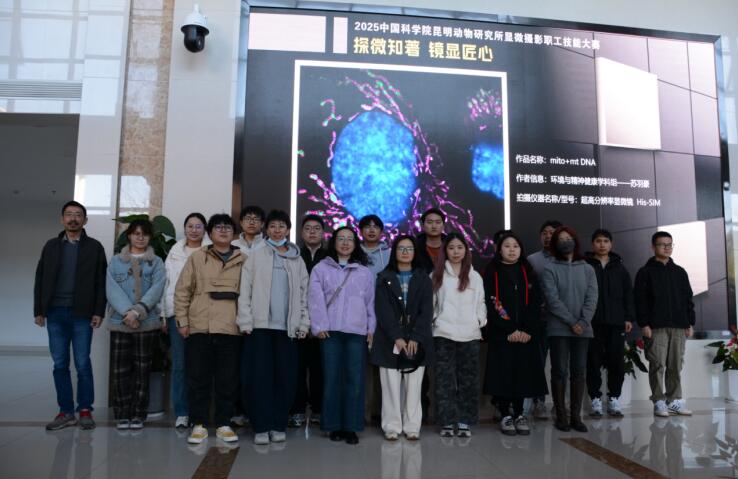 电子游戏app下载安装