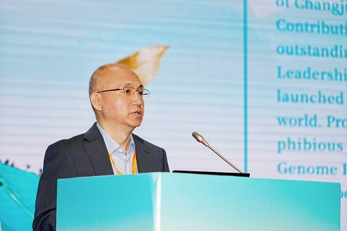 电子游戏app下载安装