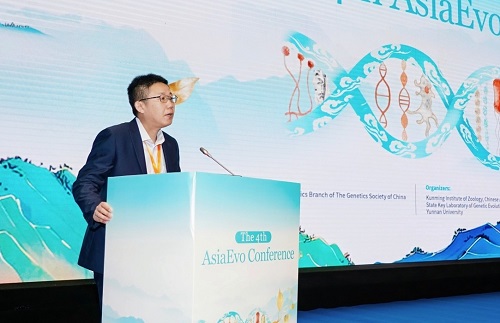 电子游戏app下载安装