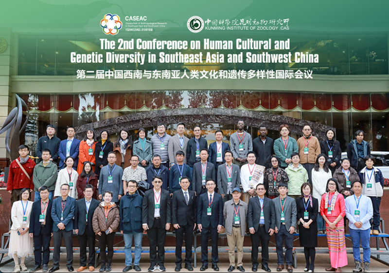 电子游戏app下载安装