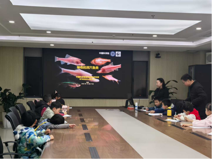 电子游戏app下载安装