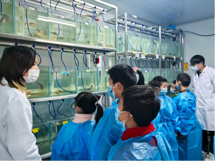 电子游戏app下载安装