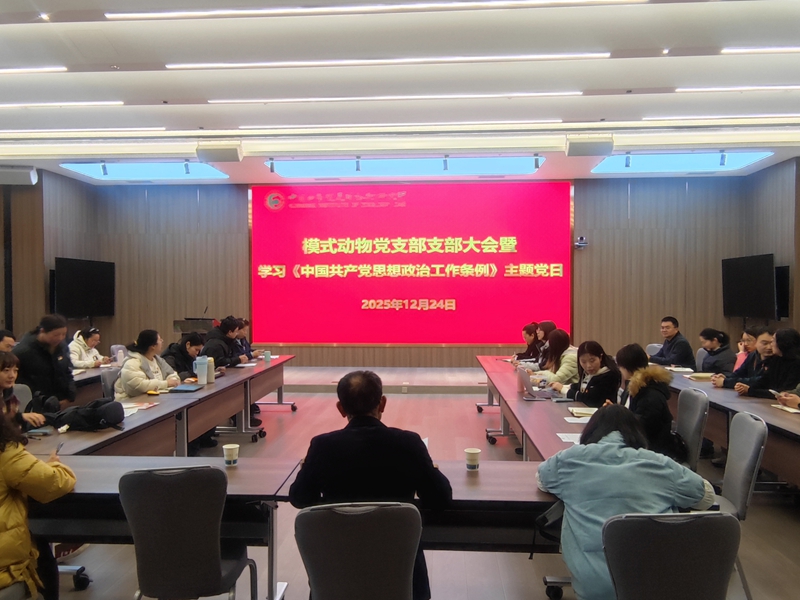 电子游戏app下载安装