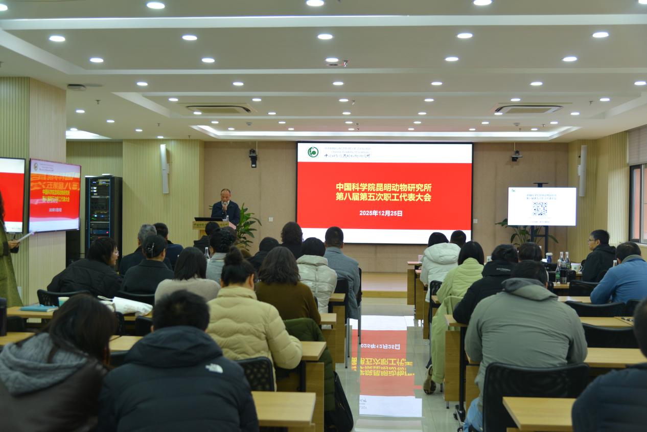 电子游戏app下载安装