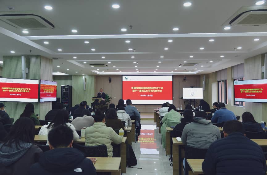 电子游戏app下载安装