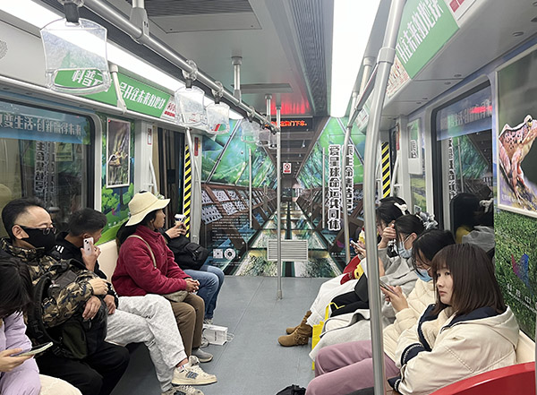 电子游戏app下载安装