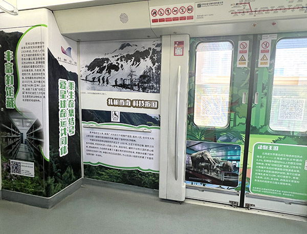 电子游戏app下载安装