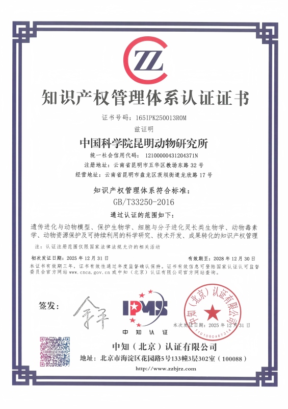 电子游戏app下载安装