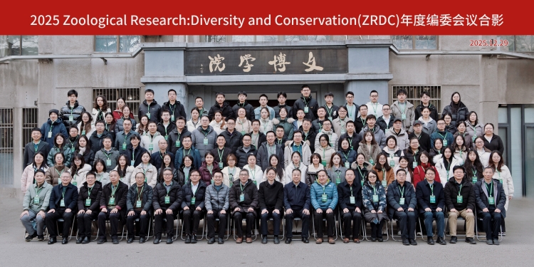 电子游戏app下载安装