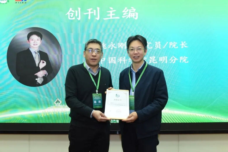 电子游戏app下载安装