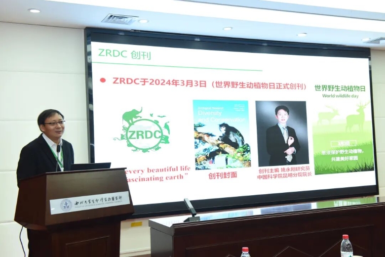 电子游戏app下载安装