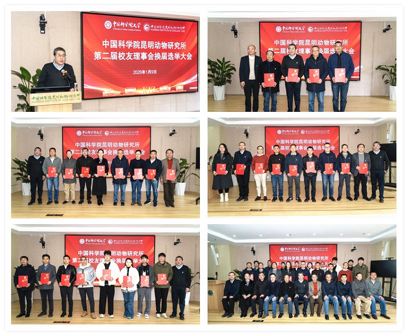 电子游戏app下载安装